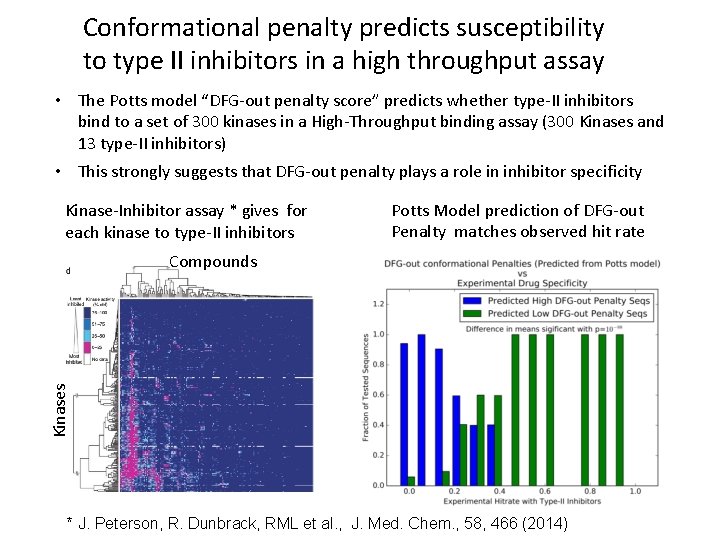 Conformational penalty predicts susceptibility to type II inhibitors in a high throughput assay •