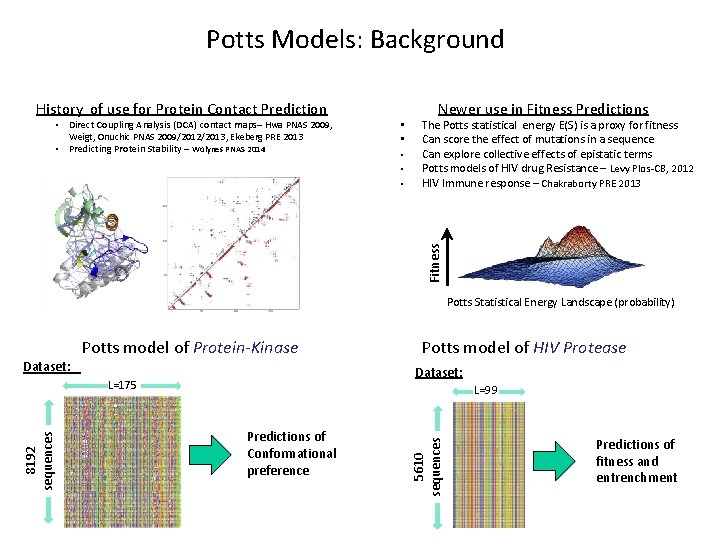 Potts Models: Background History of use for Protein Contact Prediction • • • Newer