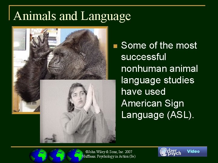 Animals and Language n Some of the most successful nonhuman animal language studies have