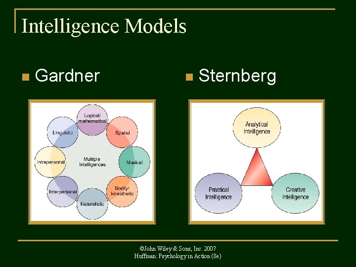 Intelligence Models n Gardner n Sternberg ©John Wiley & Sons, Inc. 2007 Huffman: Psychology