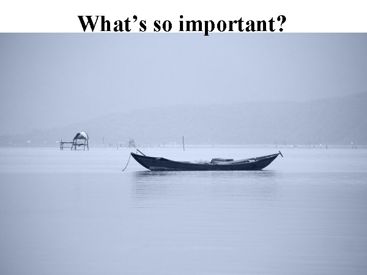 What’s so important? 