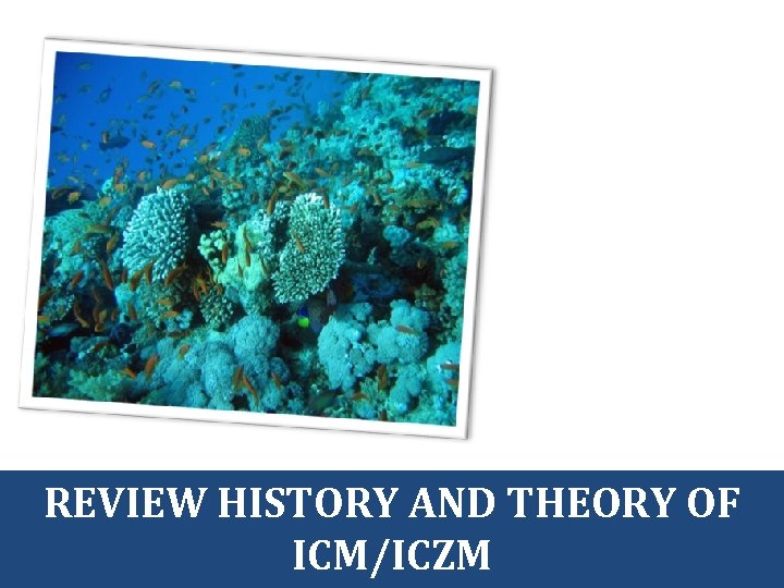 REVIEW HISTORY AND THEORY OF ICM/ICZM 