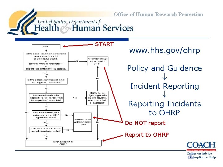 Office of Human Research Protection START www. hhs. gov/ohrp Policy and Guidance Incident Reporting