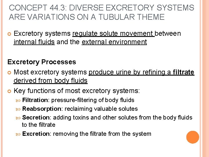 CONCEPT 44. 3: DIVERSE EXCRETORY SYSTEMS ARE VARIATIONS ON A TUBULAR THEME Excretory systems CONCEPT 44. 3: DIVERSE EXCRETORY SYSTEMS ARE VARIATIONS ON A TUBULAR THEME Excretory systems
