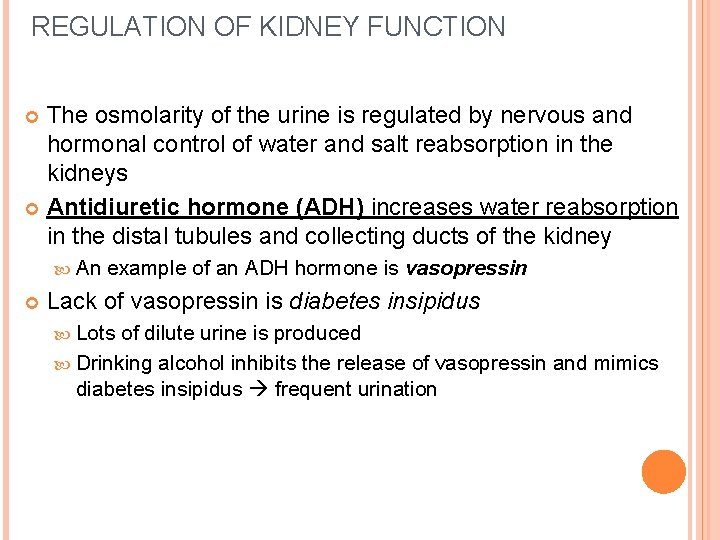 REGULATION OF KIDNEY FUNCTION The osmolarity of the urine is regulated by nervous and REGULATION OF KIDNEY FUNCTION The osmolarity of the urine is regulated by nervous and