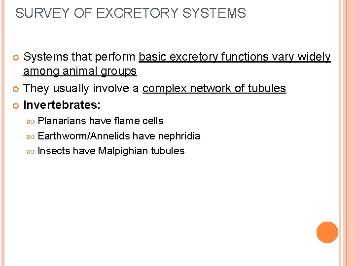 SURVEY OF EXCRETORY SYSTEMS Systems that perform basic excretory functions vary widely among animal SURVEY OF EXCRETORY SYSTEMS Systems that perform basic excretory functions vary widely among animal