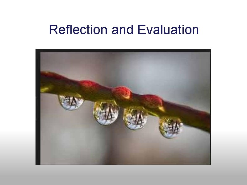  Reflection and Evaluation 