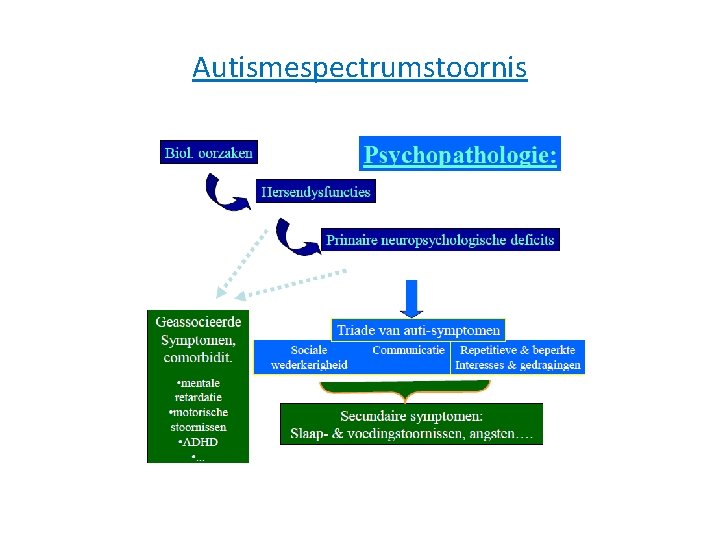 Autismespectrumstoornis 