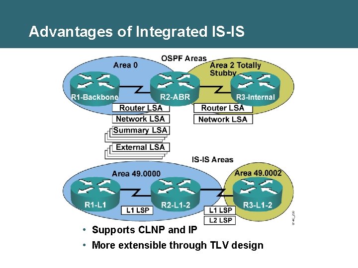 Advantages of Integrated IS-IS • Supports CLNP and IP • More extensible through TLV