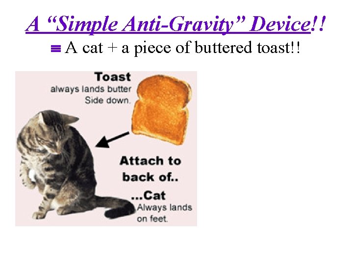 A “Simple Anti-Gravity” Device!! A cat + a piece of buttered toast!! 