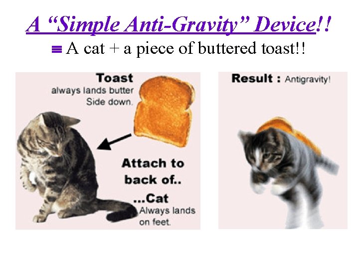 A “Simple Anti-Gravity” Device!! A cat + a piece of buttered toast!! 