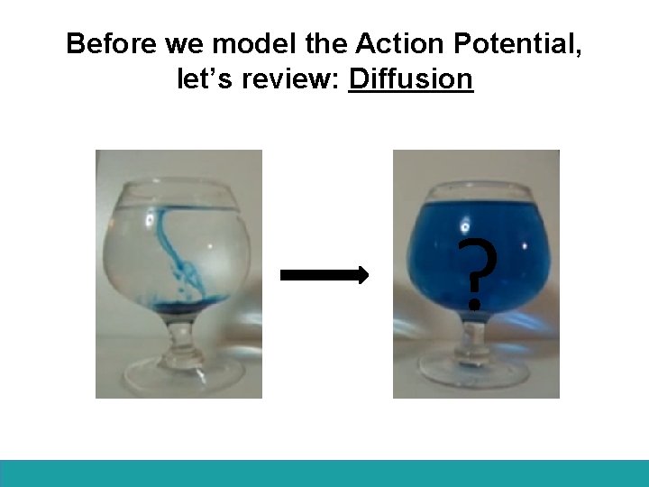 Before we model the Action Potential, let’s review: Diffusion ? 