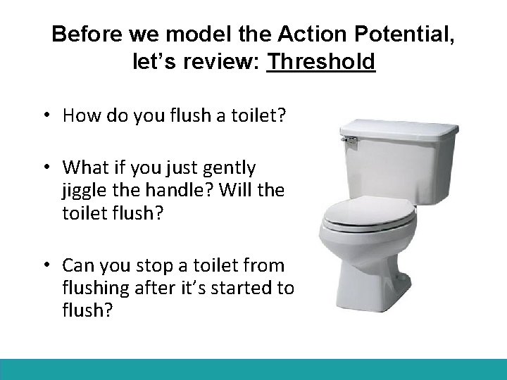 Before we model the Action Potential, let’s review: Threshold • How do you flush