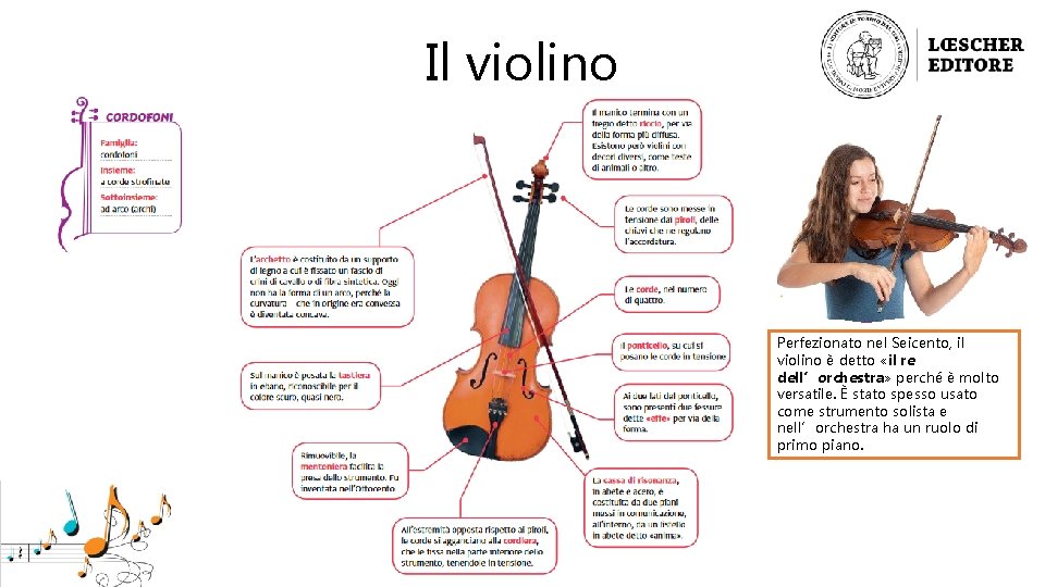 Il violino Perfezionato nel Seicento, il violino è detto «il re dell’orchestra» perché è