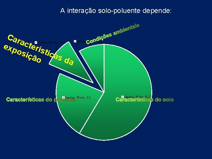 A interação solo-poluente depende: Car a exp cterí stic osi as ção da Vendas;