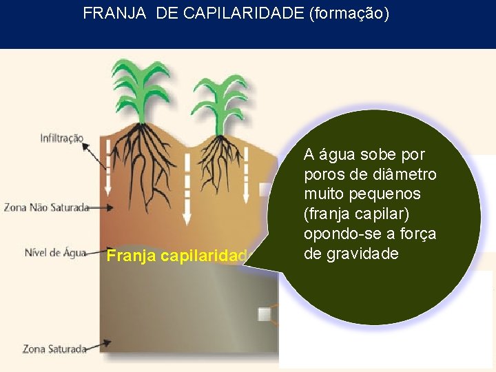 FRANJA DE CAPILARIDADE (formação) Franja capilaridade A água sobe poros de diâmetro muito pequenos