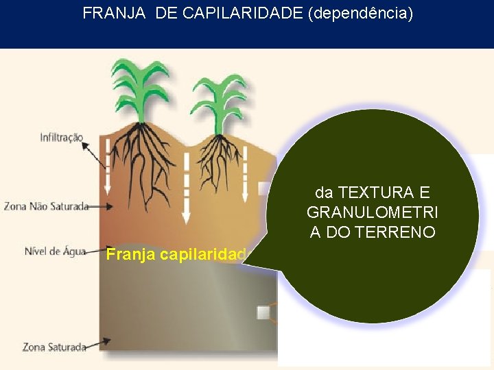 FRANJA DE CAPILARIDADE (dependência) da TEXTURA E GRANULOMETRI A DO TERRENO Franja capilaridade 