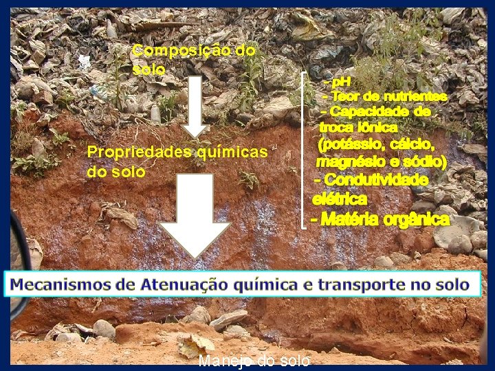 Composição do solo Propriedades químicas do solo Manejo do solo 