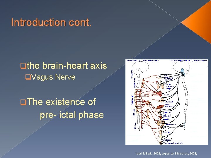 Introduction cont. qthe brain-heart q. Vagus Nerve axis q. The existence of pre- ictal