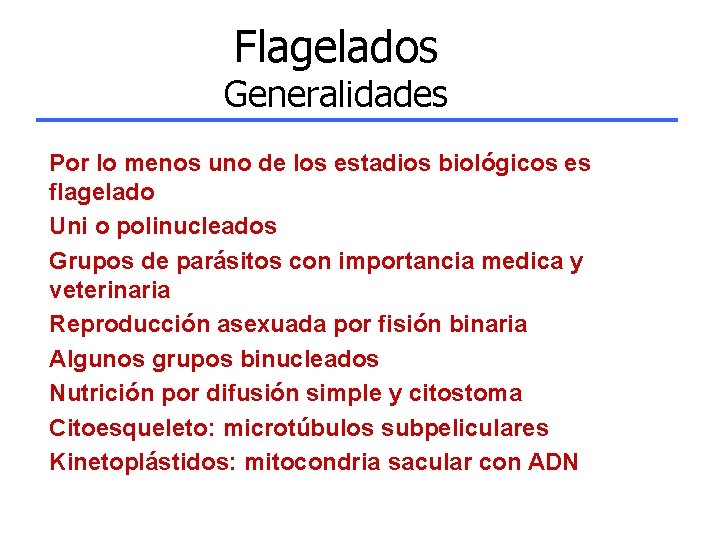 Flagelados Generalidades Por lo menos uno de los estadios biológicos es flagelado Uni o