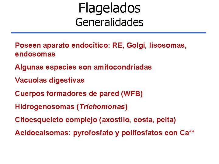 Flagelados Generalidades Poseen aparato endocítico: RE, Golgi, lisosomas, endosomas Algunas especies son amitocondriadas Vacuolas