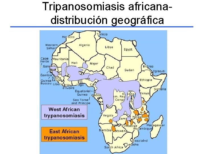 Tripanosomiasis africanadistribución geográfica 