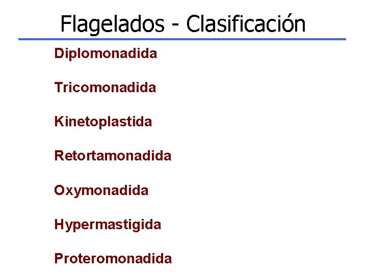 Flagelados - Clasificación Diplomonadida Tricomonadida Kinetoplastida Retortamonadida Oxymonadida Hypermastigida Proteromonadida 