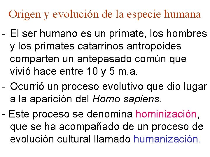 Origen y evolución de la especie humana - El ser humano es un primate,