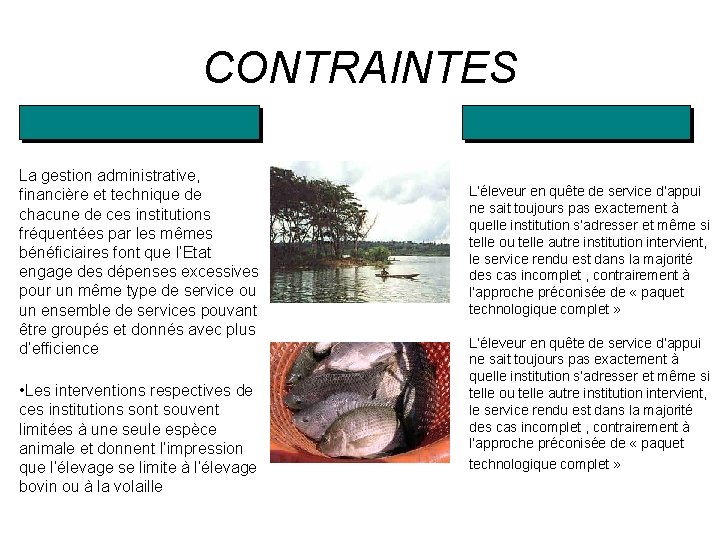 CONTRAINTES La gestion administrative, financière et technique de chacune de ces institutions fréquentées par
