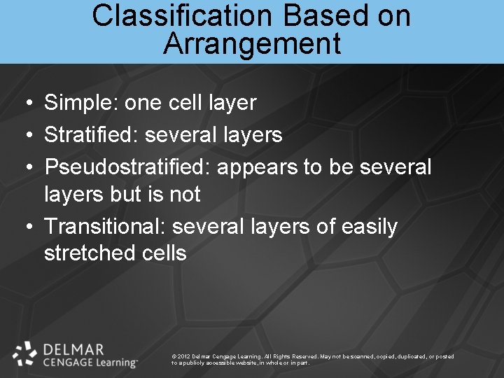 Classification Based on Arrangement • Simple: one cell layer • Stratified: several layers •