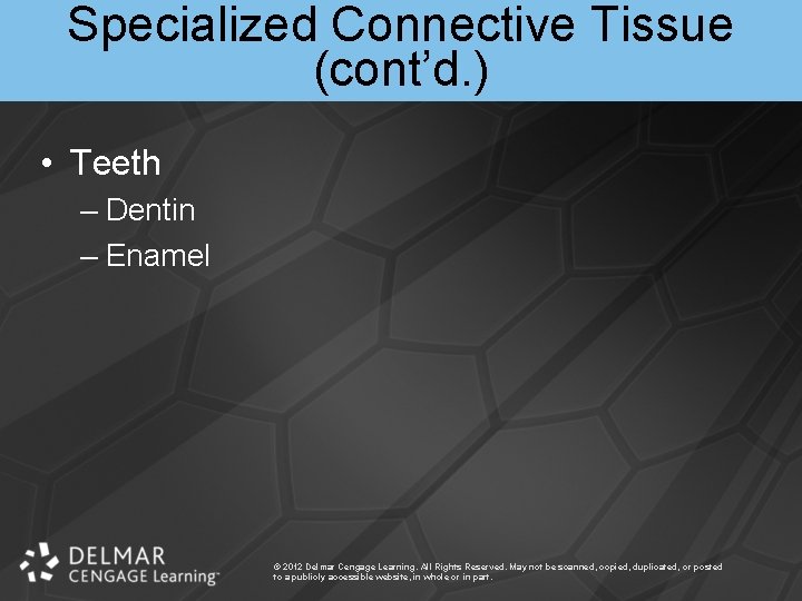 Specialized Connective Tissue (cont’d. ) • Teeth – Dentin – Enamel © 2012 Delmar