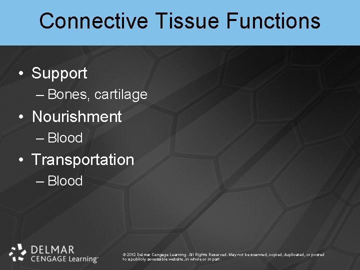 Connective Tissue Functions • Support – Bones, cartilage • Nourishment – Blood • Transportation