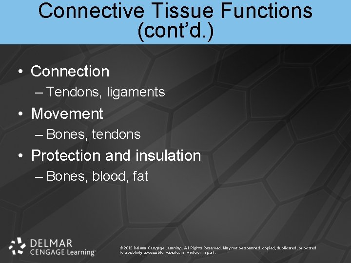 Connective Tissue Functions (cont’d. ) • Connection – Tendons, ligaments • Movement – Bones,