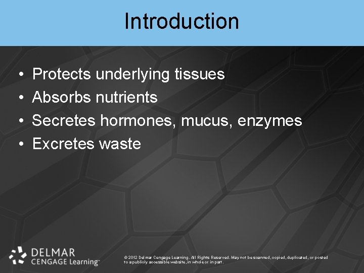 Introduction • • Protects underlying tissues Absorbs nutrients Secretes hormones, mucus, enzymes Excretes waste