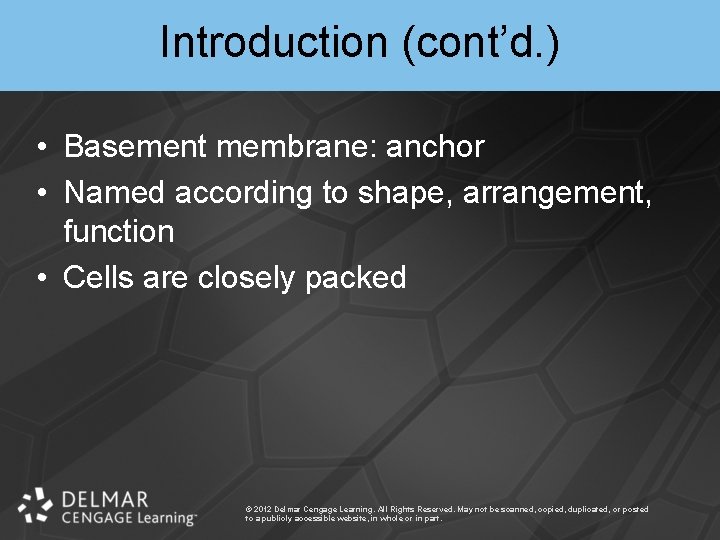Introduction (cont’d. ) • Basement membrane: anchor • Named according to shape, arrangement, function