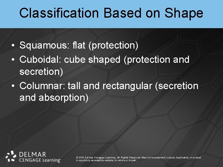 Classification Based on Shape • Squamous: flat (protection) • Cuboidal: cube shaped (protection and
