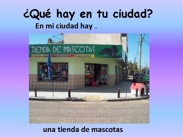 ¿Qué hay en tu ciudad? En mi ciudad hay … una tienda de mascotas