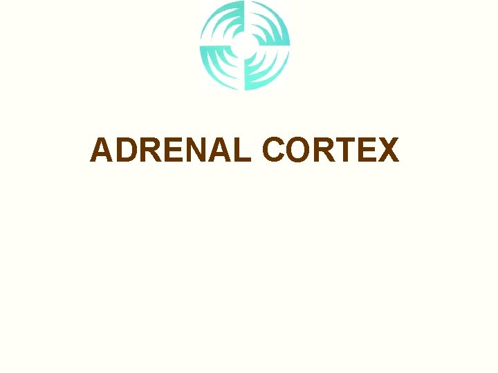 ADRENAL CORTEX 