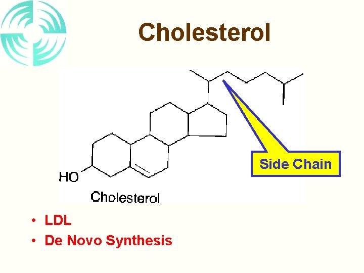 Cholesterol Side Chain • LDL • De Novo Synthesis 