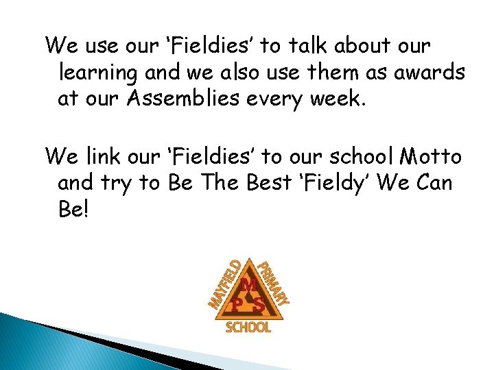 We use our ‘Fieldies’ to talk about our learning and we also use them We use our ‘Fieldies’ to talk about our learning and we also use them