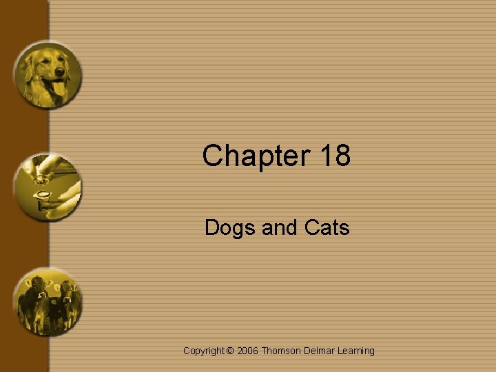 Chapter 18 Dogs and Cats Copyright © 2006 Thomson Delmar Learning 