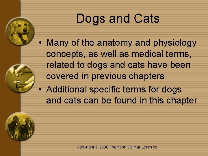 Dogs and Cats • Many of the anatomy and physiology concepts, as well as