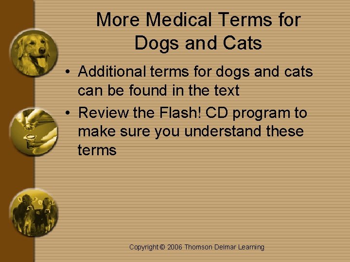 More Medical Terms for Dogs and Cats • Additional terms for dogs and cats