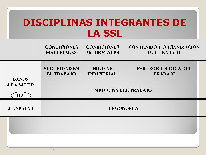 DISCIPLINAS INTEGRANTES DE LA SSL 6 