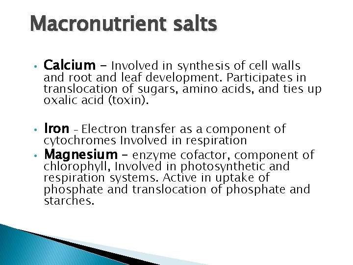 Macronutrient salts • Calcium - Involved in synthesis of cell walls • Iron –