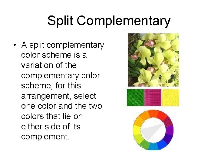 Split Complementary • A split complementary color scheme is a variation of the complementary