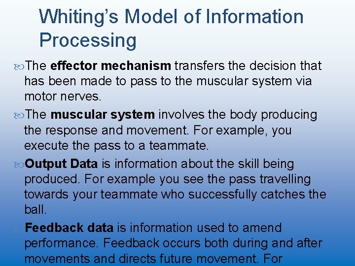 Whiting’s Model of Information Processing The effector mechanism transfers the decision that has been