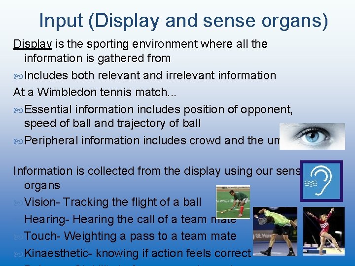 Input (Display and sense organs) Display is the sporting environment where all the information