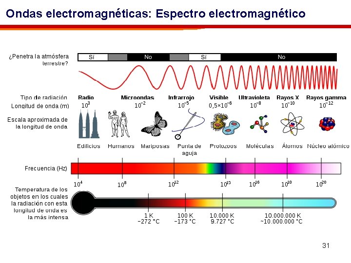 Ondas electromagnéticas: Espectro electromagnético 31 