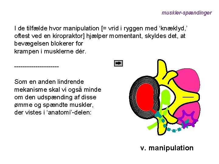 muskler-spændinger I de tilfælde hvor manipulation [= vrid i ryggen med ‘knæklyd, ’ oftest